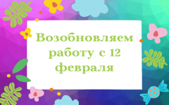 Возобновляем работу магазина с 12 февраля