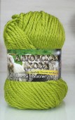 Пряжа Color City АНГОРСКАЯ КОЗА (Цвет: 2406 фисташка)
