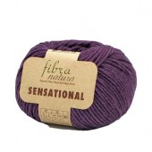 Пряжа Fibra natura SENSATIONAL (Цвет: 40821 ежевика)